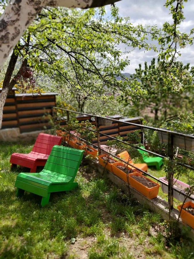 Bungalow 3 With 1 Room Saraievo Exterior foto