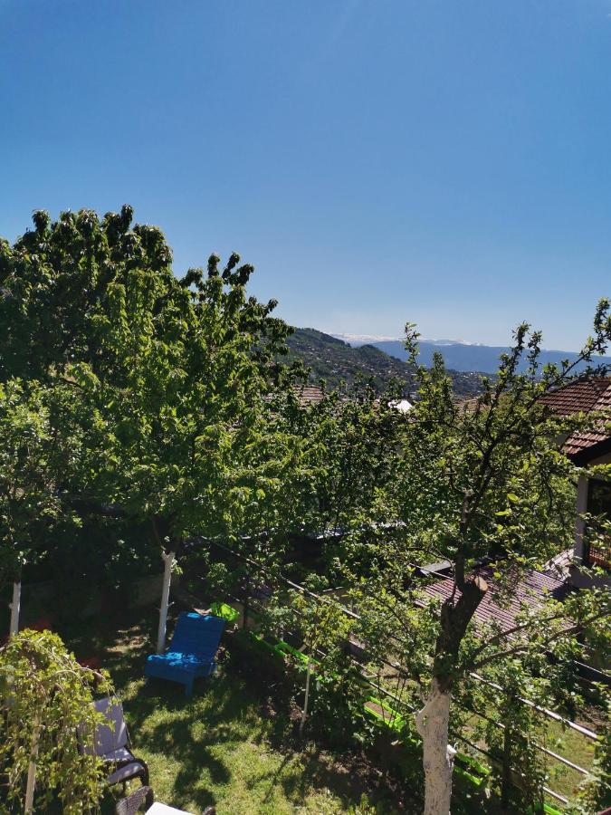 Bungalow 3 With 1 Room Saraievo Exterior foto
