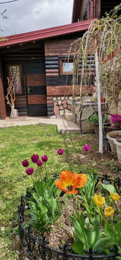 Bungalow 3 With 1 Room Saraievo Exterior foto